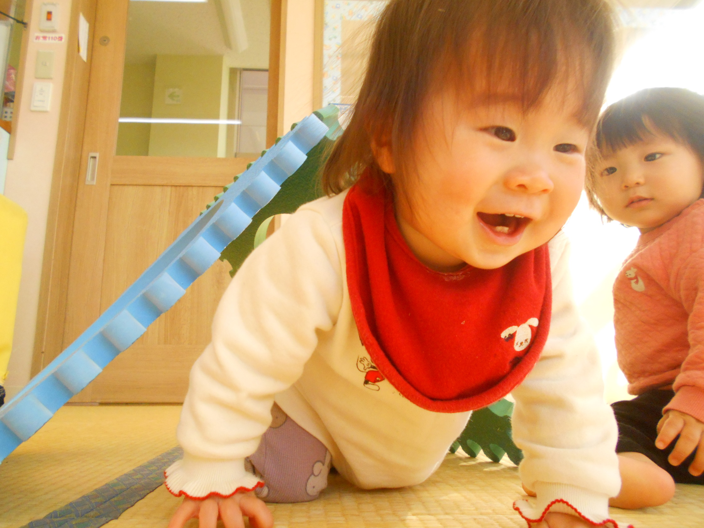 社会福祉法人 さつき福祉会南さくら認定こども園さくらさくら認定こども園みやざき駅ひがし小規模保育園荏田北保育園 社会福祉法人 さつき福祉会南さくら認定こども園さくらさくら認定こども園みやざき駅ひがし小規模保育園荏田北保育園